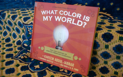 IRC Book Review: What Color Is My World?