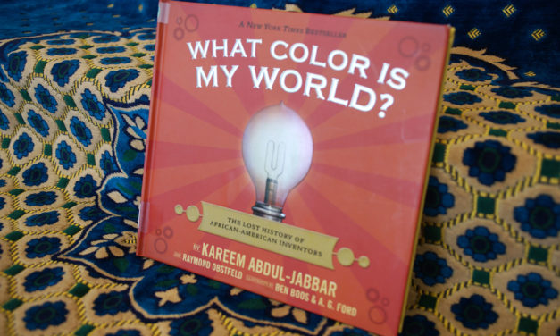 IRC Book Review: What Color Is My World?