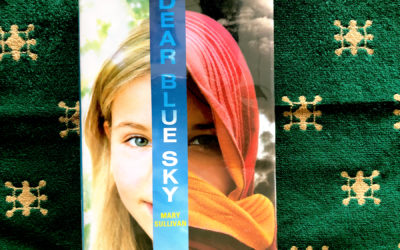 IRC Book Review: Dear Blue Sky