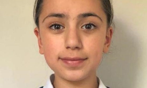 11-Year-Old Iranian Girl Gets the Highest Mensa IQ Score, Beating Einstein, Hawking