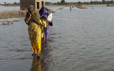 Islamic Relief to join global climate strike