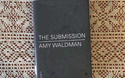 IRC Book Review: The Submission