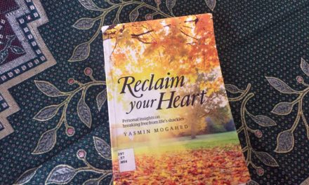 IRC Book Review: Reclaim Your Heart