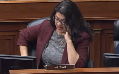 ‘Do I look white to you?’ Tlaib accuses census director of ‘erasing’ people of Middle Eastern descent