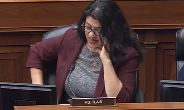‘Do I look white to you?’ Tlaib accuses census director of ‘erasing’ people of Middle Eastern descent