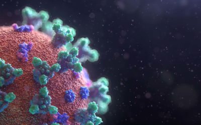How to Protect Yourself and Prepare for the Coronavirus