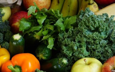 Minneapolis receives 18-ton delivery of fresh produce from Islamic charity
