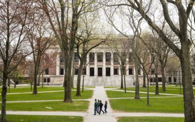 U.S. says foreign students may have to leave if their school goes online-only