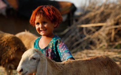 How Muslims are celebrating Eid al-Adha amid coronavirus
