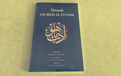 IRC Book Review: Towards Sacred Activism