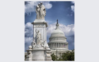 THE ARAB AMERICAN LEADERSHIP FUND (AALF) FELLOWSHIP