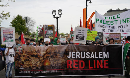 “Free Palestine Rally” in Milwaukee draws diverse crowd