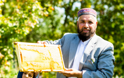 Witnessing a Miracle: Masjid Al Qur’an’s Honey Harvest
