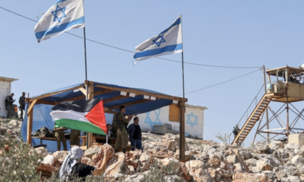450 settler attacks on Palestinians in two years: Israeli NGO