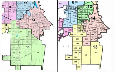 Milwaukee Muslims intervene to stop redistricting and maintain Muslim voting power.