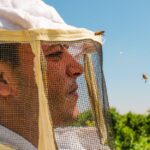 Gaza beekeepers carry on a tradition, 1000 feet from the separation wall