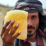 Photos: Yemen’s honey production a victim of war, climate crisis