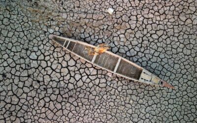 Cop27: UN urges countries to address climate-displaced peoples