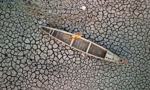 Cop27: UN urges countries to address climate-displaced peoples