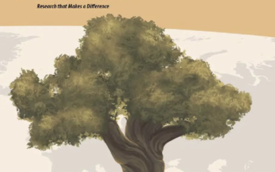 Often overlooked, Chicago Arab Americans face widespread racism, groundbreaking report finds