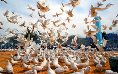 UN observes first International Day against Islamophobia