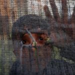 Gaza children’s mental health goes from bad to worse