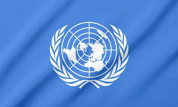 UN expert warns of new instance of mass ethnic cleansing of Palestinians, calls for immediate ceasefire