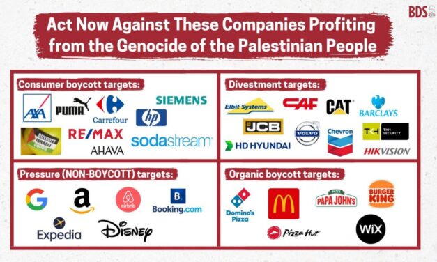 BDS is the most effective way to put our solidarity into action – here’s how to win