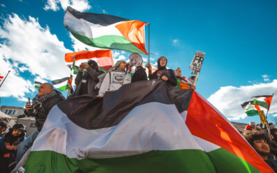Palestine awakens the revolution