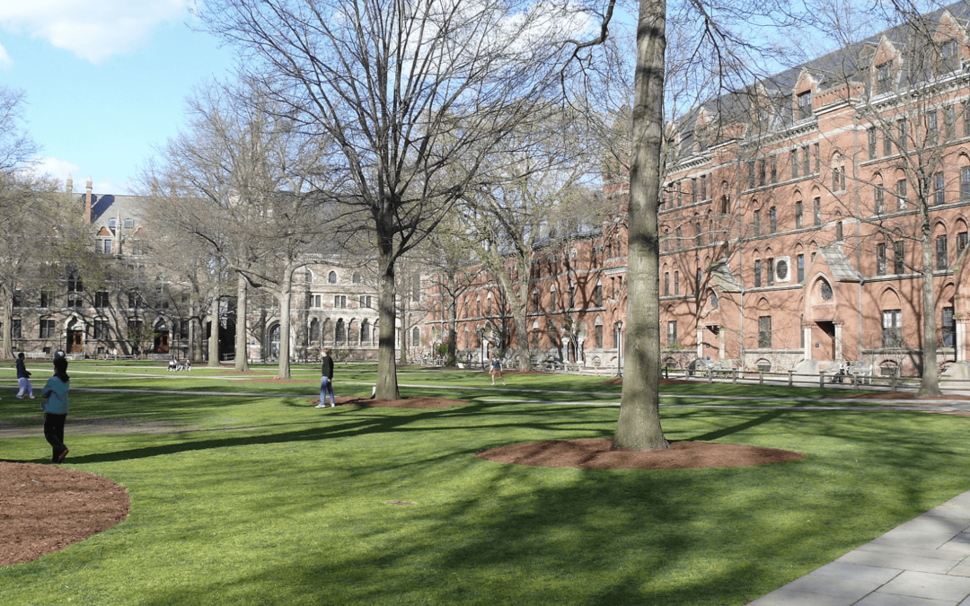 Yale students launch hunger strike over school’s connection to Gaza assault