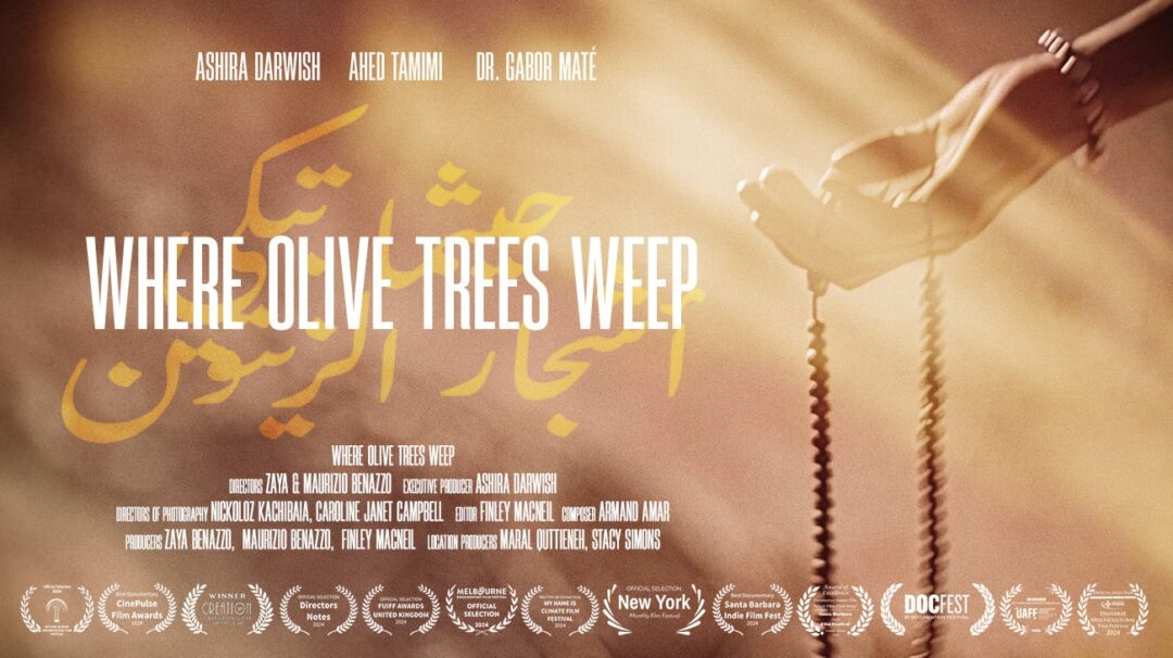 “Where Olive Trees Weep”: Dr. Gabor Maté & Ashira Darwish on New Film ...