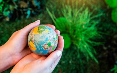 What are the teachings of Islam on Environmental Protection?