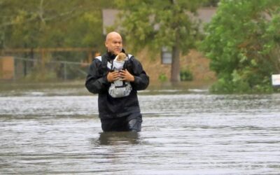 Is US really prioritising Israel and allies over its own flood victims?