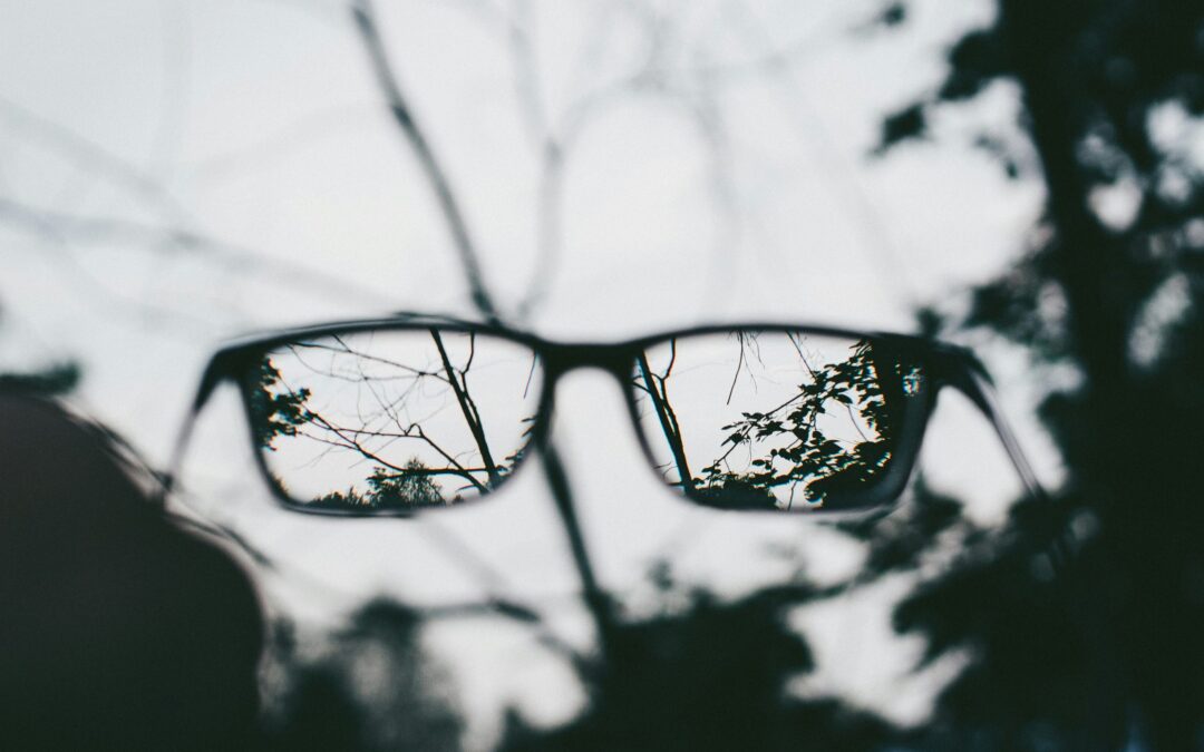 Signs Of Allah Everywhere We Turn – An Invitation To Reflect