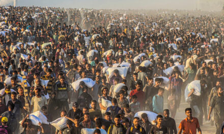 Israel ‘disappeared’ 377,000 people in Gaza, half of them children: report