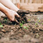 Gardening Sprouts Mental, Physical, and Spiritual Benefits