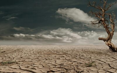 Rollbacks on Climate Initiatives Could Prove Detrimental