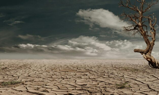 Rollbacks on Climate Initiatives Could Prove Detrimental