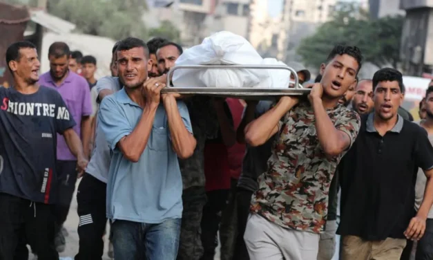Israel committing genocide in Gaza, world’s leading experts say