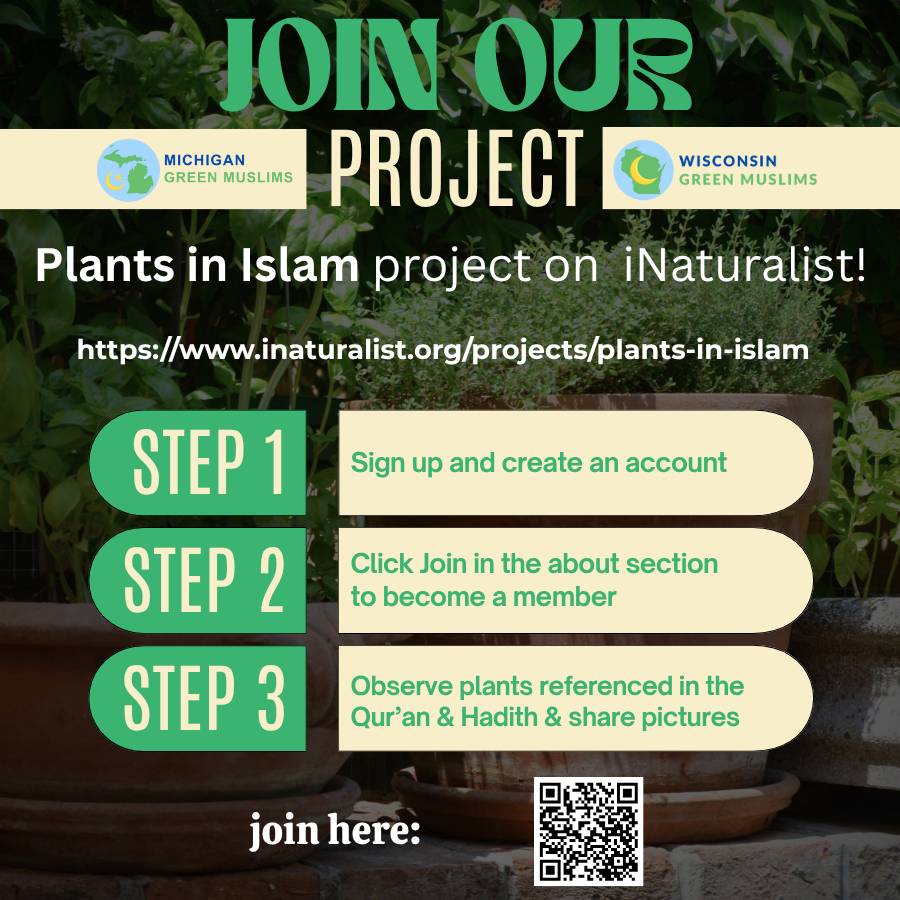 Green Muslims