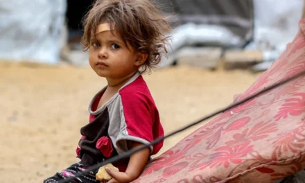 Unless we tackle western racism, the Gaza nightmare will be repeated elsewhere