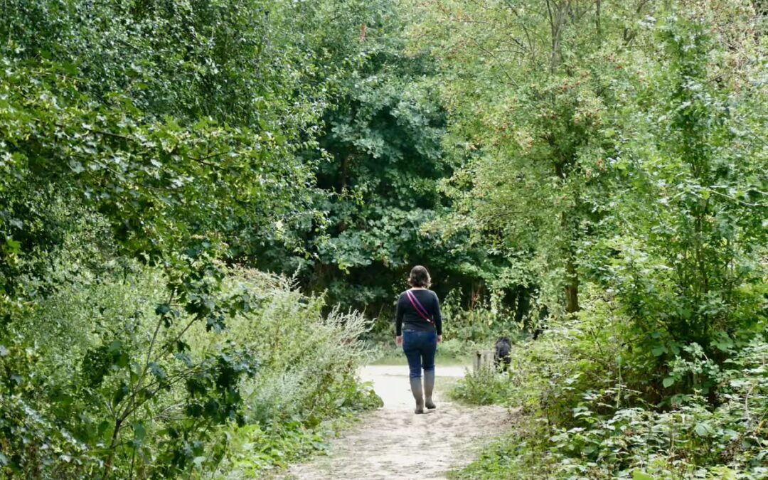 Human connection to nature has declined 60% in 200 years, study finds