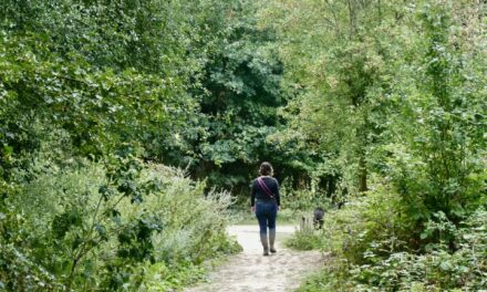 Human connection to nature has declined 60% in 200 years, study finds