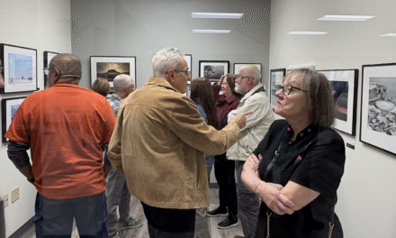 Nadiana Art Gallery in Greenfield selected for prestigious exhibitions