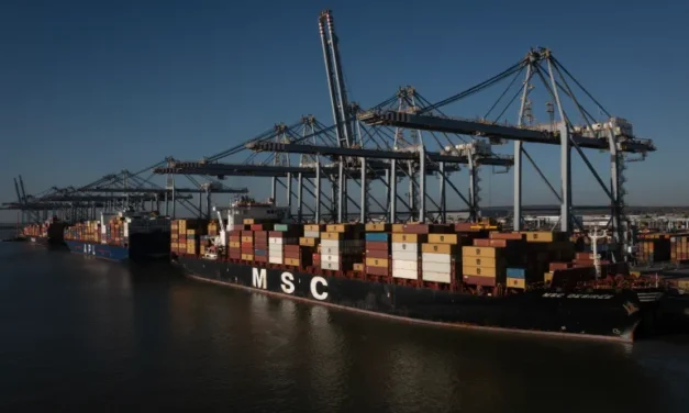 Shipping giant MSC facilitates trade from Israeli settlements through EU