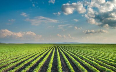 Sewage sludge battle heats up as health advocates appeal move to dismiss EPA lawsuit