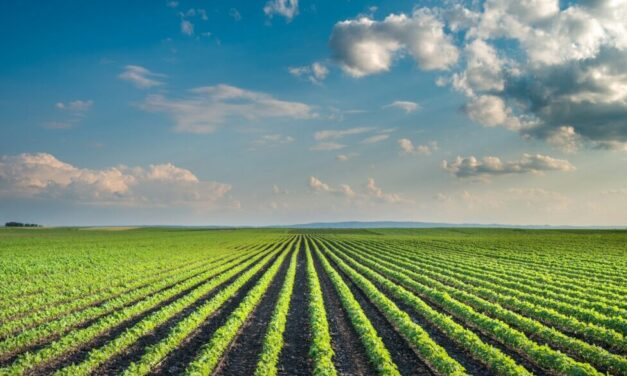 Sewage sludge battle heats up as health advocates appeal move to dismiss EPA lawsuit