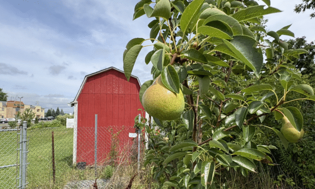 Milwaukee Muslims launch Permaculture Book Club