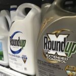 Supreme Court considers how much states can protect consumers when federal agencies won’t