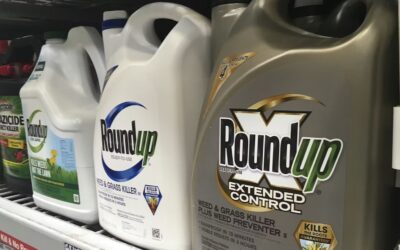 Supreme Court considers how much states can protect consumers when federal agencies won’t